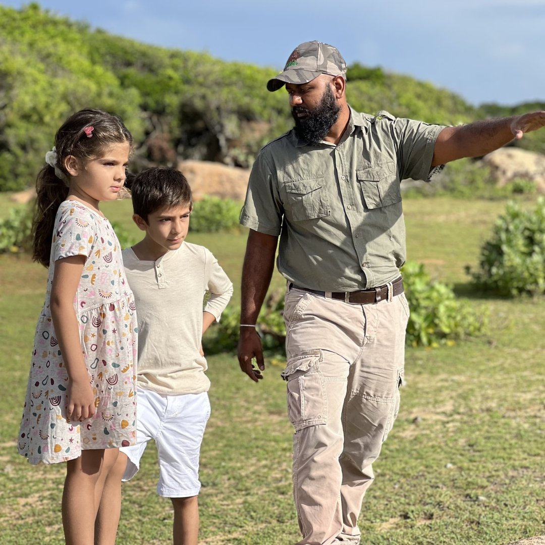 Resplendent Ceylon tweet media