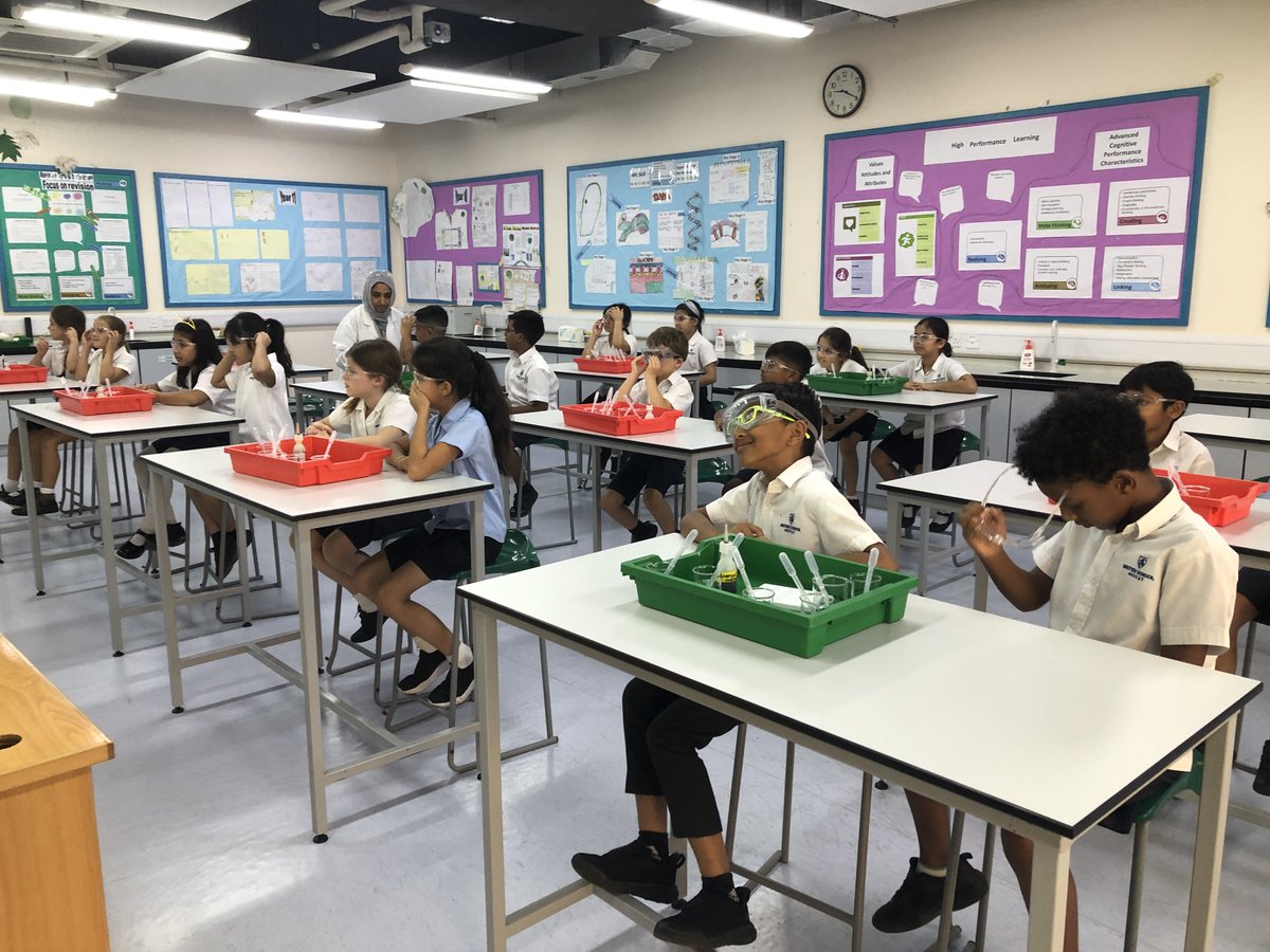 BSM Year 4 tweet media