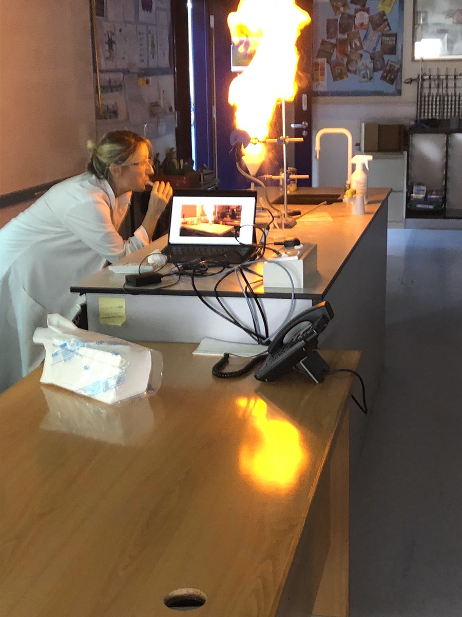 BSM Year 4 tweet media