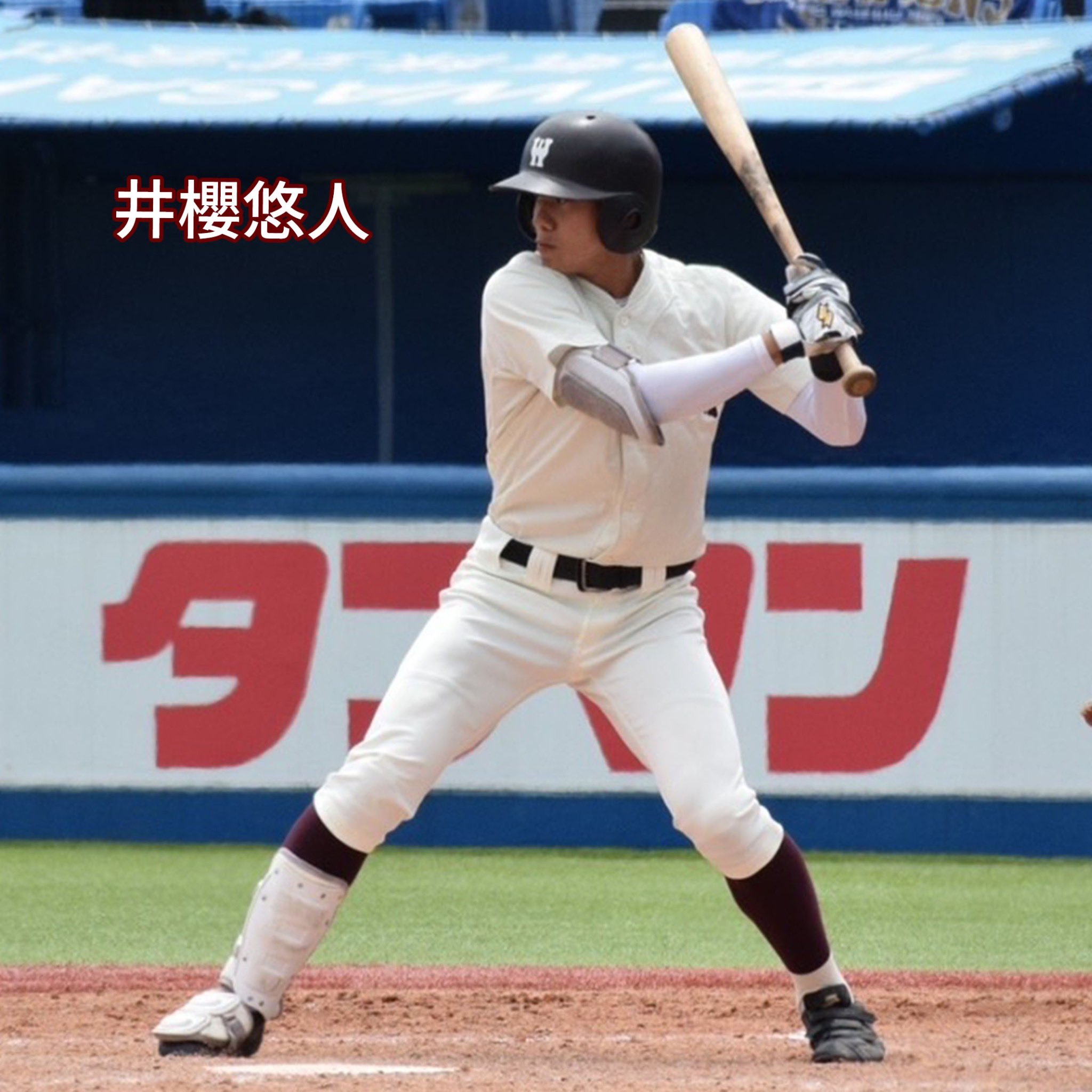 早稲田大学野球部 on X: 