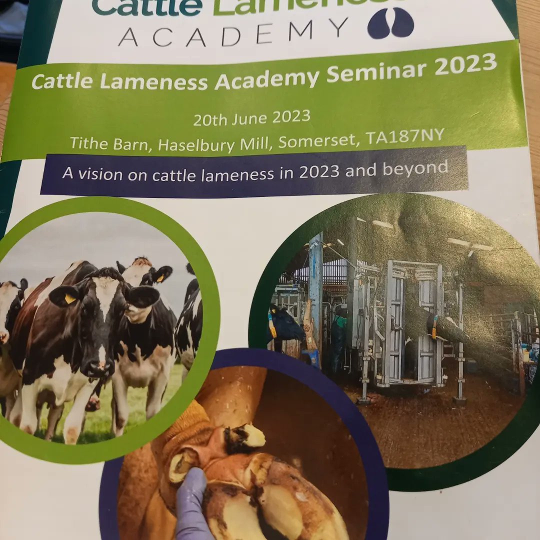 Jon Reader tweet media