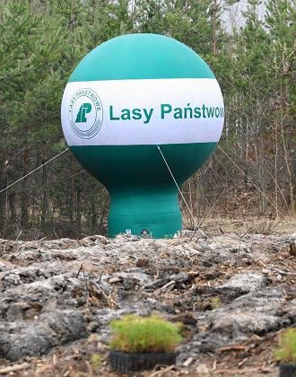 Symboliczne zdjęcie. Balon zamiast lasu 😐