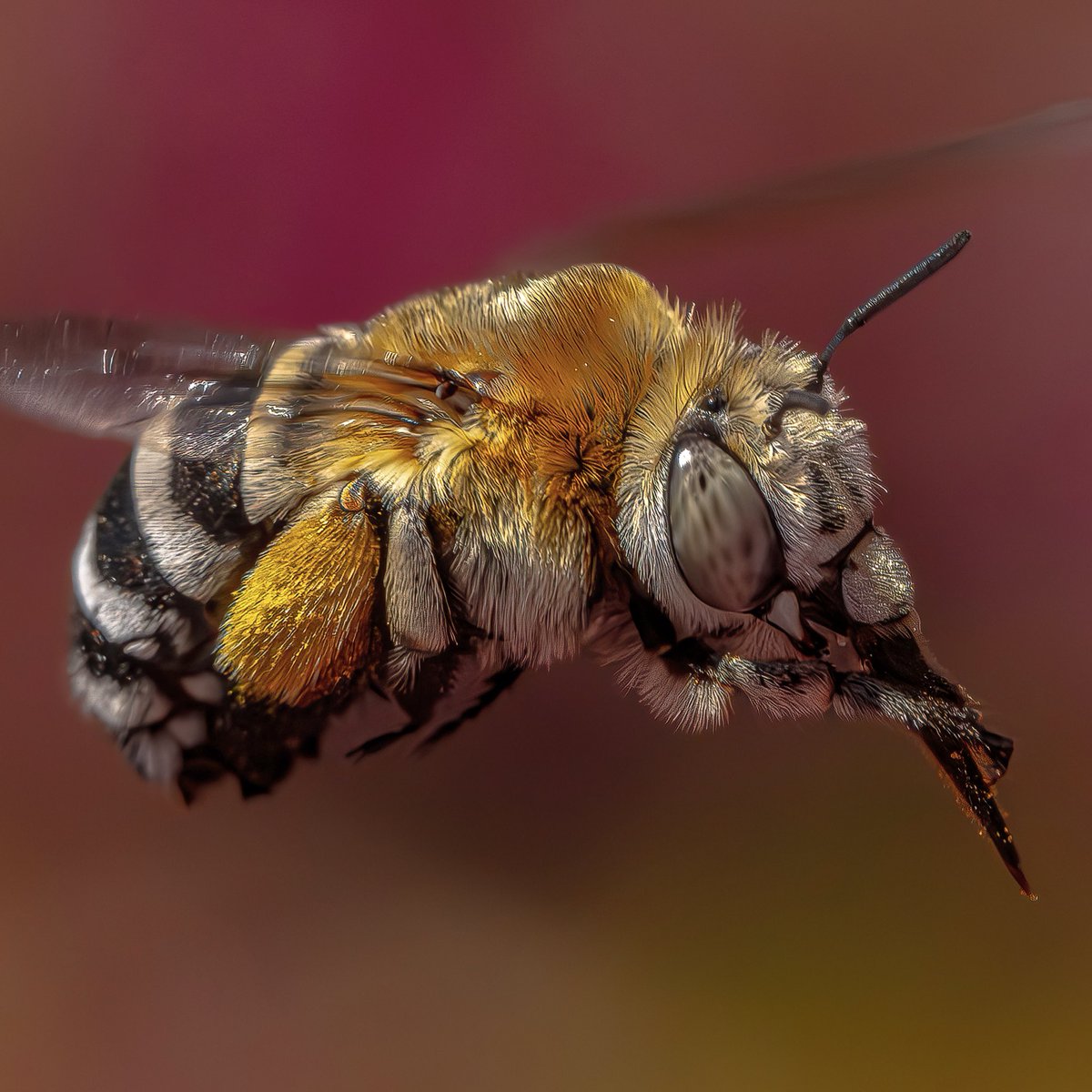 Please help me achieve my goal of 20k followers in 2 years that I set myself after a year of 10k. The new system has really slowed my progress down so please share retweet and quote tweet this post as much as possible. Thank you all 🙏🏿♥️.