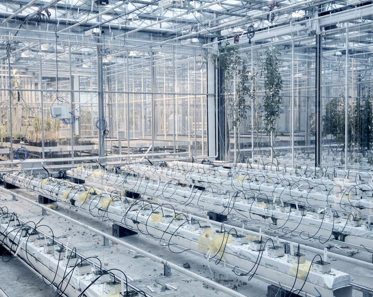 Last week to visit the Aerotropolis exhibition at Galleria Cavour in Padua as part of the @impfestival
Aerotropolis is a long-term projects that explore the society of the future in the face of environmental and technological change. 
#aerotropolis #airport #future #travel