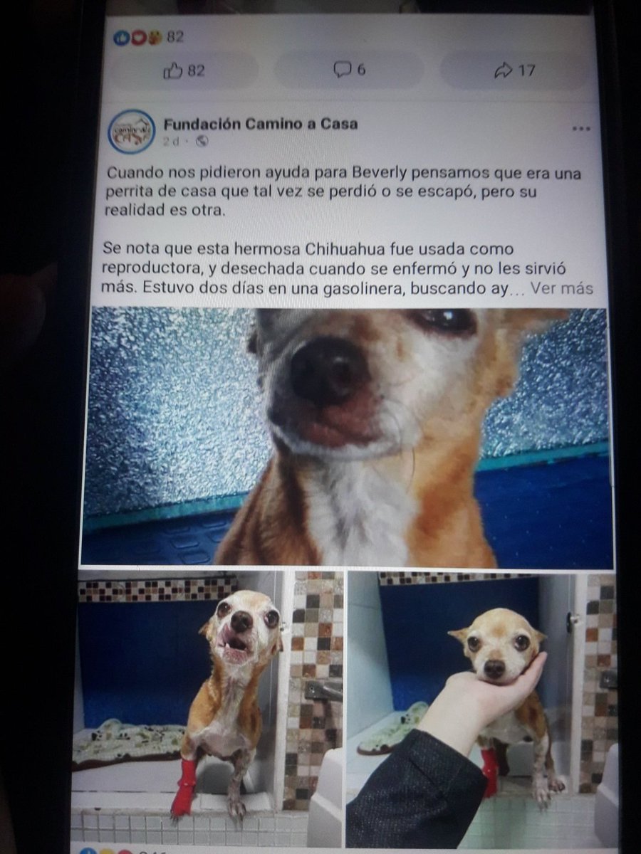 sackbott tweet media