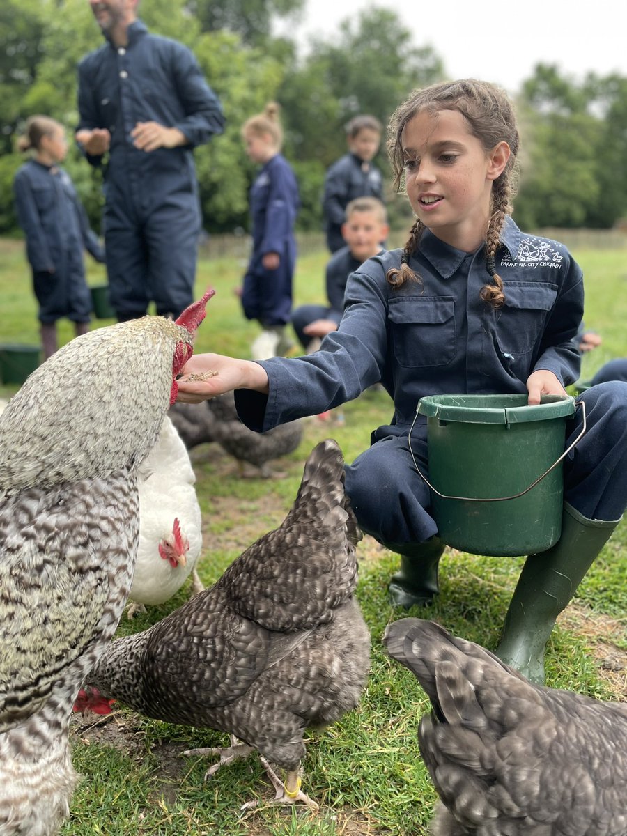 WideySaltram tweet media