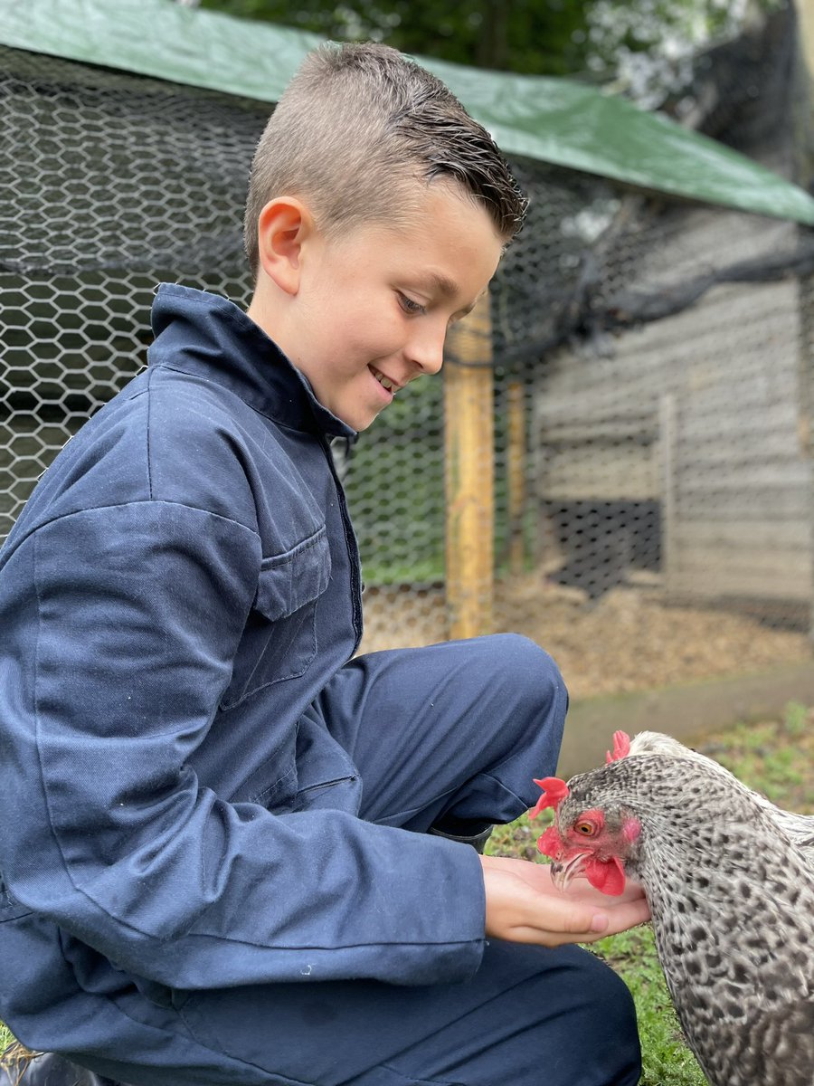 WideySaltram tweet media