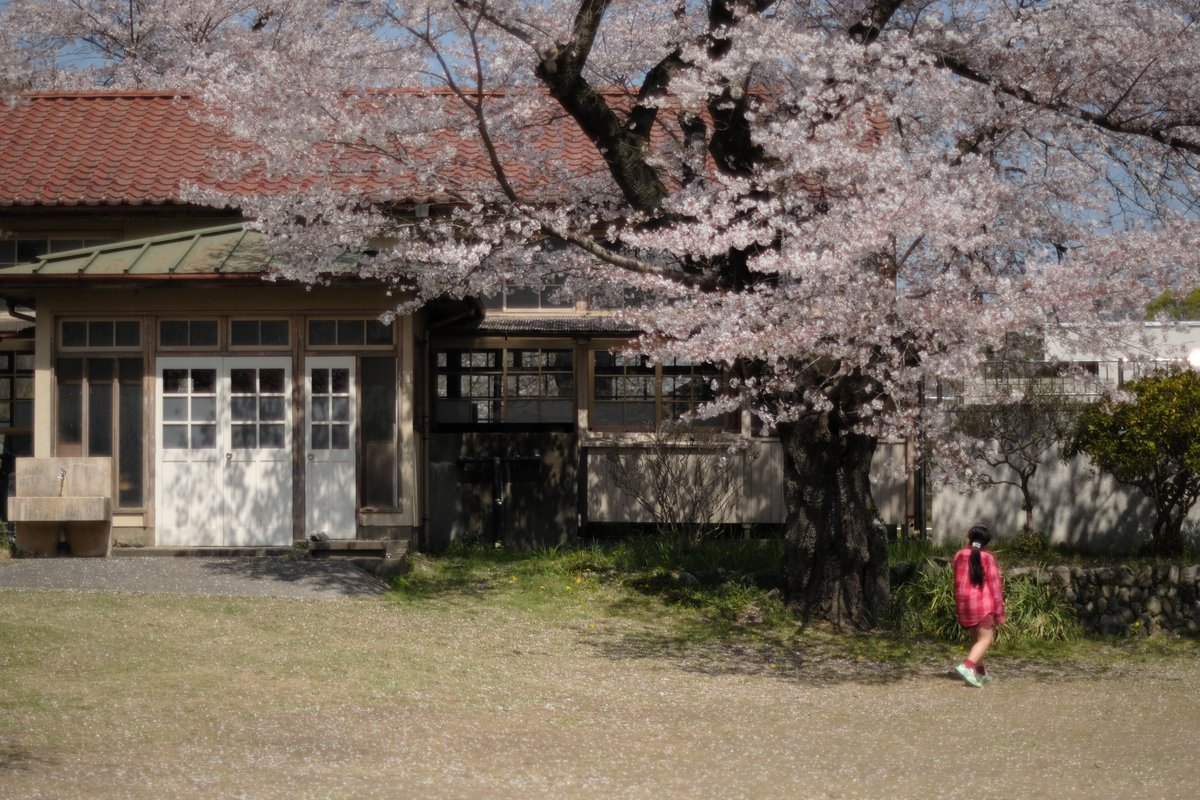 akari7775's tweet photo. 【第九回アワガミ公募展～私たちのふるさと】
無事おわりまして、ご来場多数ありがとうございました。
展示6作品を、半分ずつ紹介します。
・石の苔むした鳥居（佐賀県有田市）
・古い小学校木造校舎と桜（埼玉県小川町）
・道端の道祖神（長野県安曇野）

懐かしさと温かさを同時に感じるような。 https://t.co/mIylaFQHmb