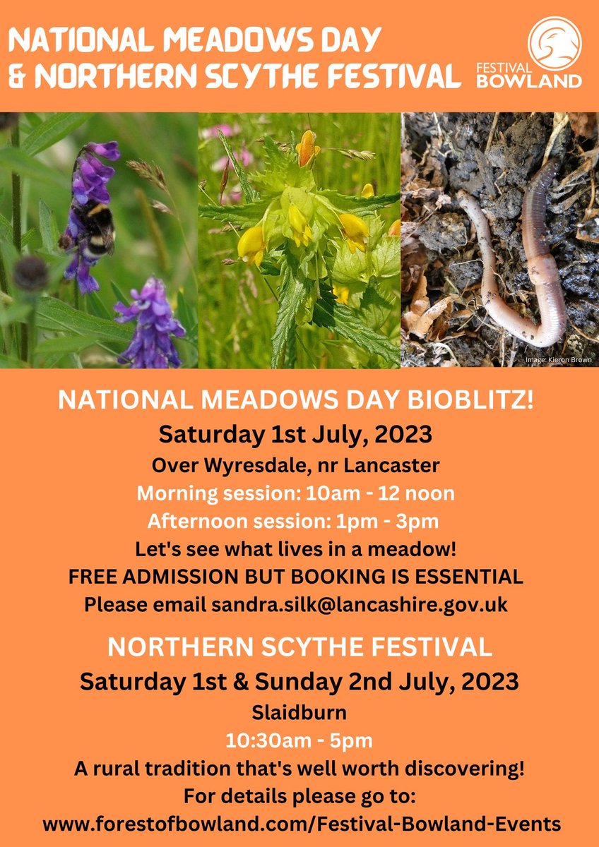 We're getting ready for #NationalMeadowsDay and the Northern Scythe Festival here in Bowland! Discovering what lives in a meadow and celebrating some traditional hay time skills. Sat 1st/Sun 2nd July. <a href="/Love_plants/">Plantlife</a> <a href="/BowlandNetwork/">Discover Bowland</a> <a href="/DiscoverWyre/">Discover Wyre</a> @moreLancaster <a href="/RibbleValleyBC/">Ribble Valley BC</a>