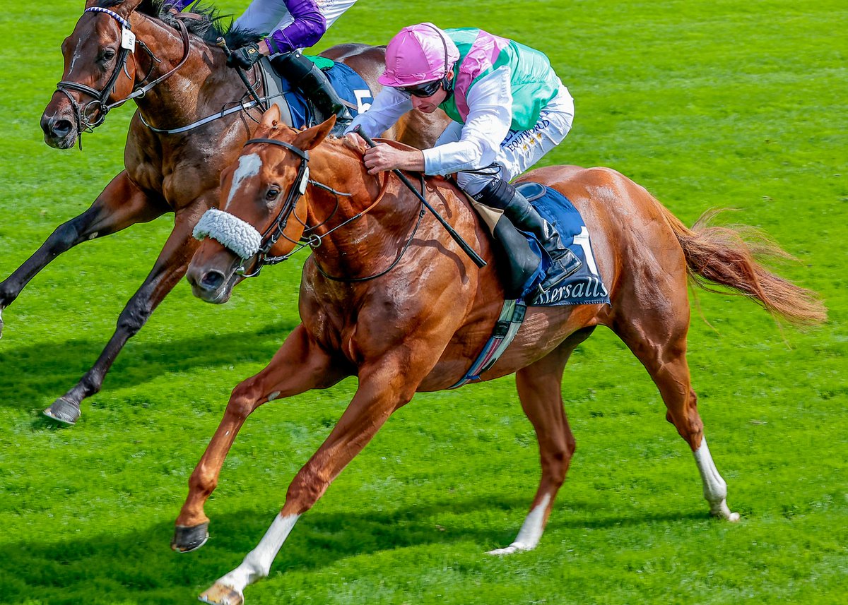 mylittletip's tweet photo. 🇬🇧🎩🏇🏼 #RoyalAscot 2023 is here! 🇬🇧🎩🏇🏼

✅ Make sure you are following this week for plenty of free bet giveaways. 

💰 If Chaldean wins the St James's Palace Stakes (4.20) today we will give away a £50 free bet for tomorrow's racing.

❤️ Simply like and R T this post https://t.co/fHaUvm6CaJ