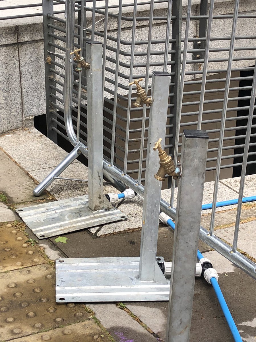 Rosie Fuller tweet media