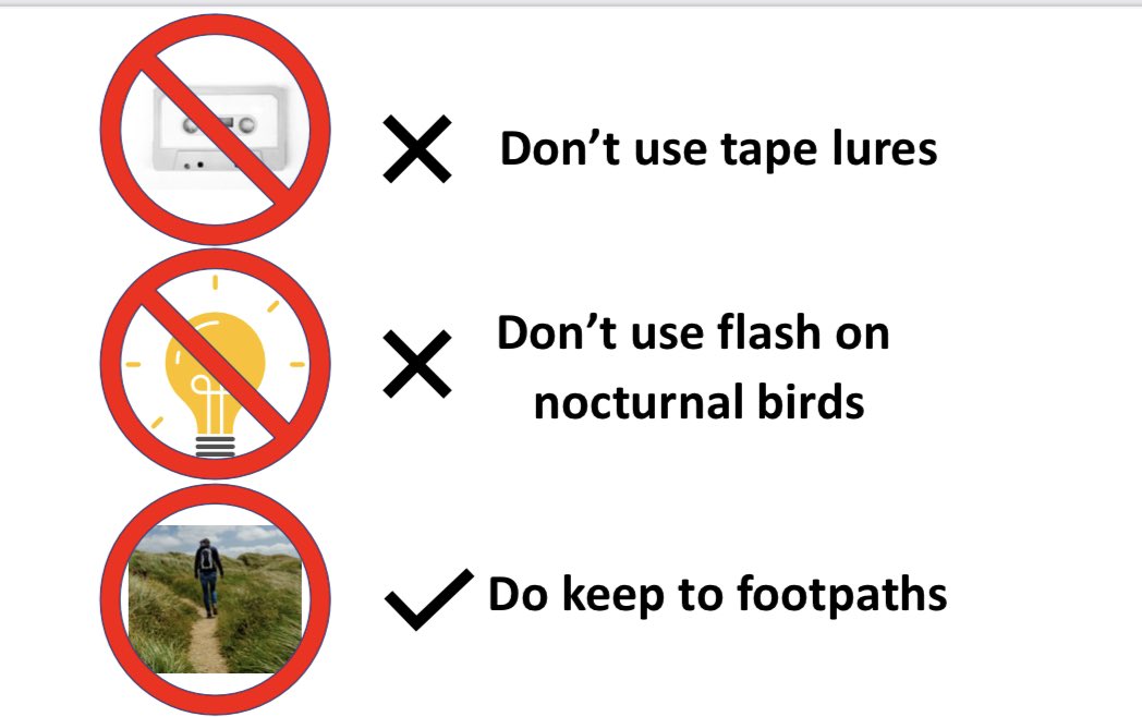 A polite reminder: birds are at their limits in the breeding season: building nests, defending territories, feeding young and also surviving. 

I’m aware of people putting additional strain on some of our heathland birds and owls just for *that* special photo.

PLEASE DON’T!!
