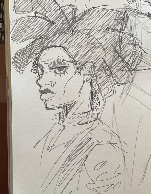 hobie doodles