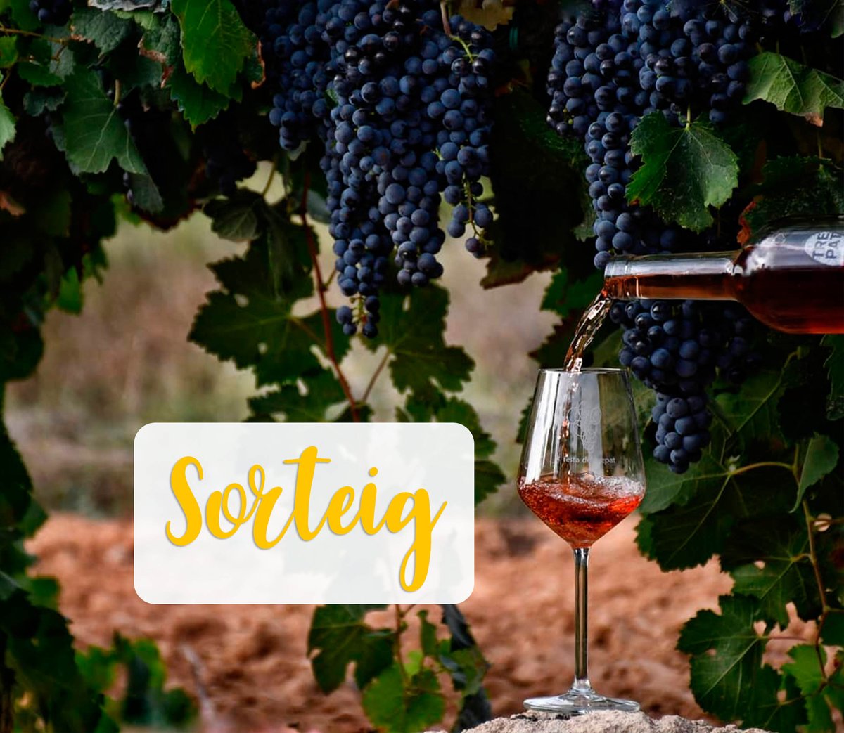 🍷Ja heu participat en el sorteig per guanyar una experiència enoturística durant la @festatrepat? 📷 Regalem 2 visites a les vinyes del celler Tarannà Poètic i 2 tastos de trepat @DOConcaBarbera! Participeu aquí 👉 tuit.cat/pxBo2 #FestadelTrepat #CostaDaurada