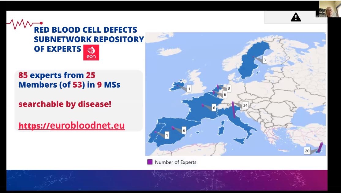 ERNEuroBloodNet's tweet photo. 📢B. Gulbis represented the @ERNEuroBloodNet  during the 4th Annual #WorldSickleCellDay2023 24-Hour Sickle Cell-A-Thon! Working in the fight against sickle cell disease!
More information: https://t.co/Xl2GIiNEWx… #WSCD23 #SickleCellAwareness #sicklecell #WorldSickleCellDay https://t.co/TCbsc8Krvv
