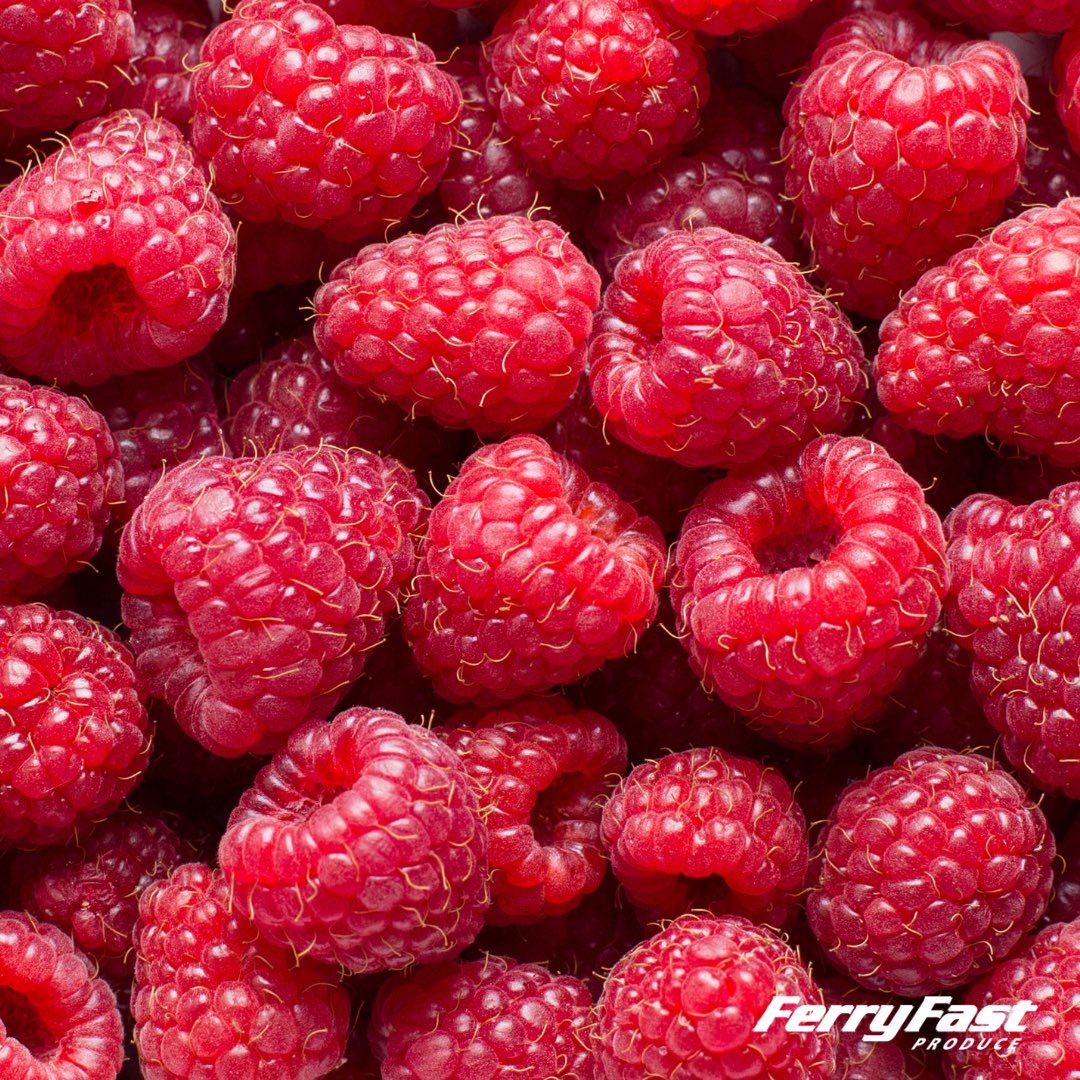 Locally grown boxes of Raspberries (16x125g) in stock now! 🚜🇬🇧

#wholesale #wholesalers #ukproduce #freshproduce #produce #produceindustry #supportlocal #britishfarming #farming #growers #grower #britishproduce