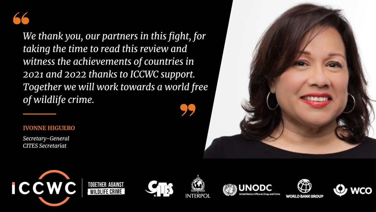 “Together, we will work towards a world free of wildlife crime” - @ivonnehiguero, Secretary-General of @CITES. 
 
💫 Read the new ICCWC Biannual Report 2021 – 2022 here: bit.ly/46fgQRJ

#TogetherAgainstWildlifeCrime