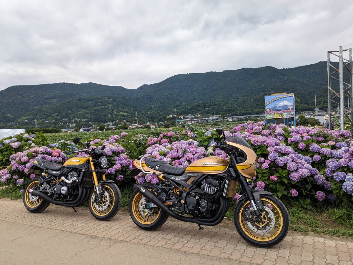 紫陽花とtakaさん🏍️😊でした😁