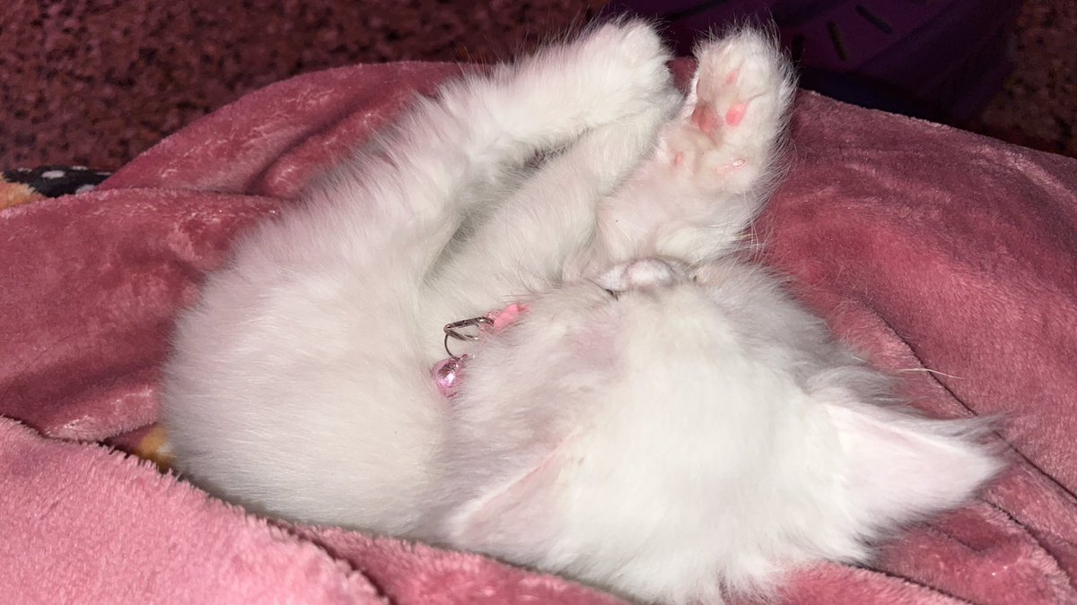 احسها لعبه مو حقيقية