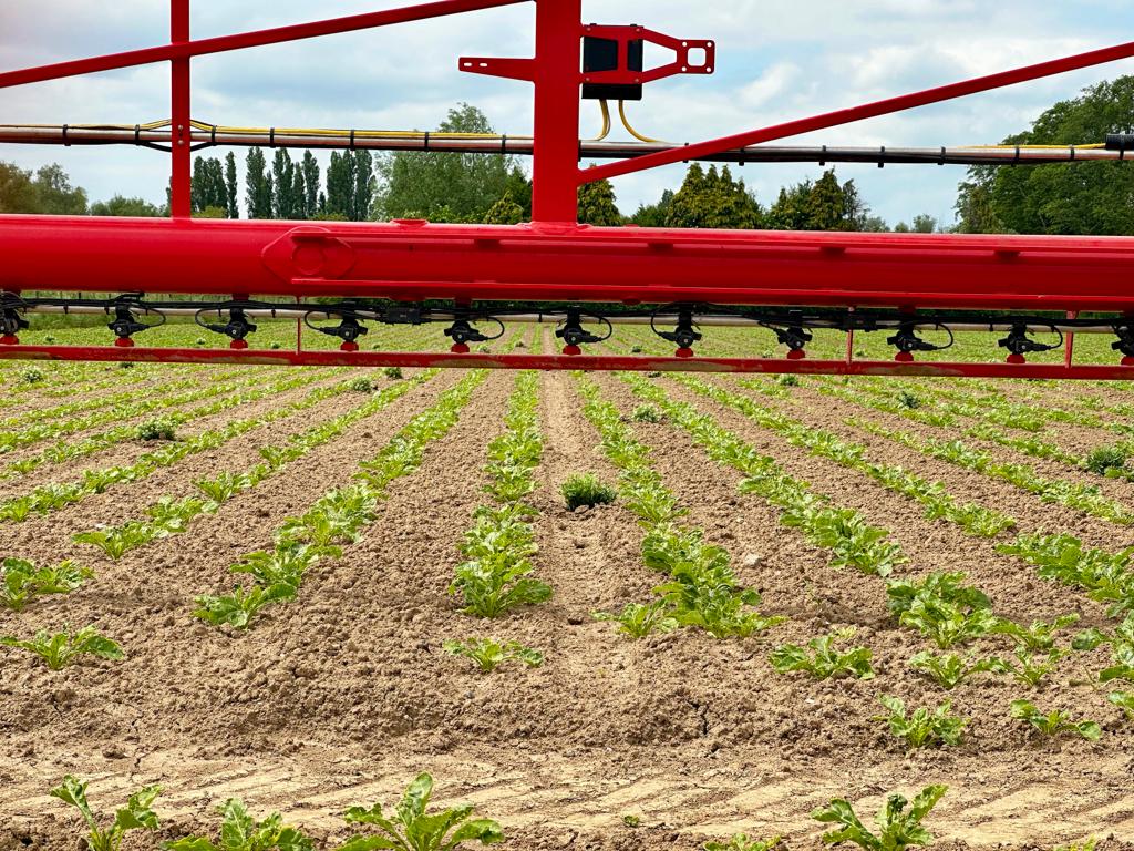 DEMO @ Van der Woerd

"Resultaten van onkruidbestrijding in suikerbieten beoordelen."

Aanstaande donderdag 22 juni vindt bij @loonbedrijfvanderwoerd een demo plaats

Locatie: Retsestraat 9, Zoelen
Tijd: 13.30u