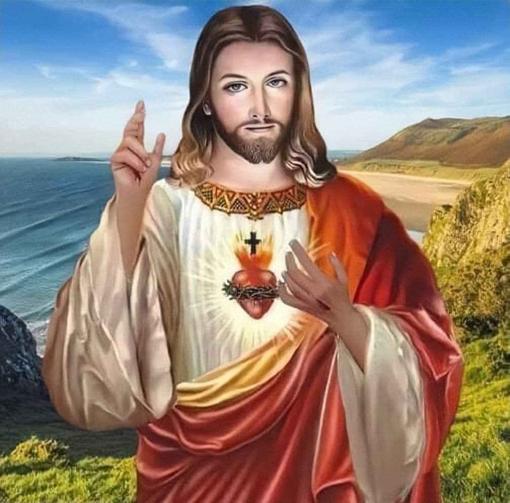 flor_ell879's tweet photo. Blessed forever be the Most Sacred Heart of Jesus. Praise be to God of love 🙏✝️❤️‍🔥🕊️

#JuneMonth #SacredHeartofJesus https://t.co/S9tRr1GlNK