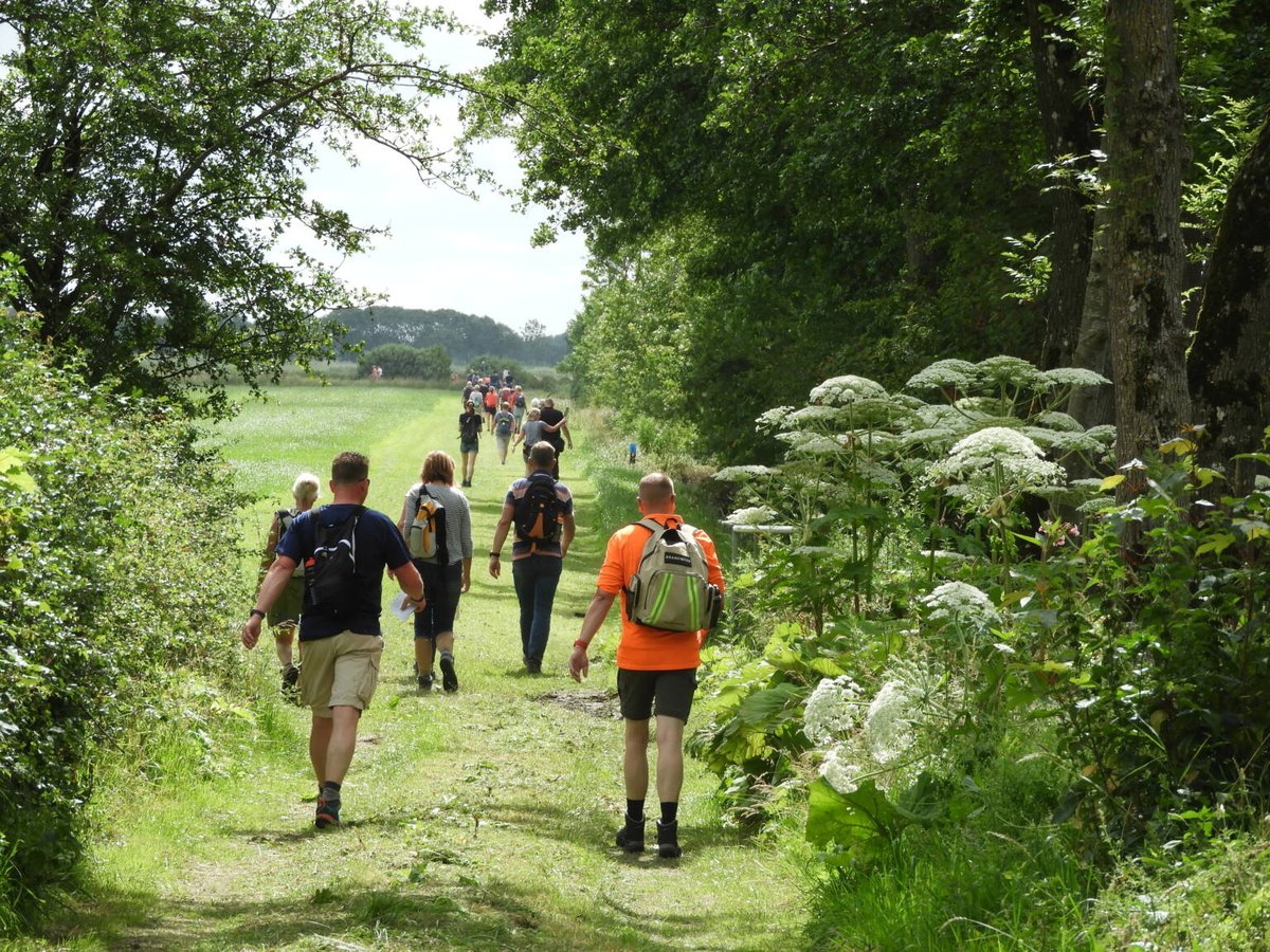De #Swaddekuier en genieten van de natuur, een bericht van onze voorzitter Albert van der Ploeg: noardlikefryskewalden.nl/nieuws/swaddek…
