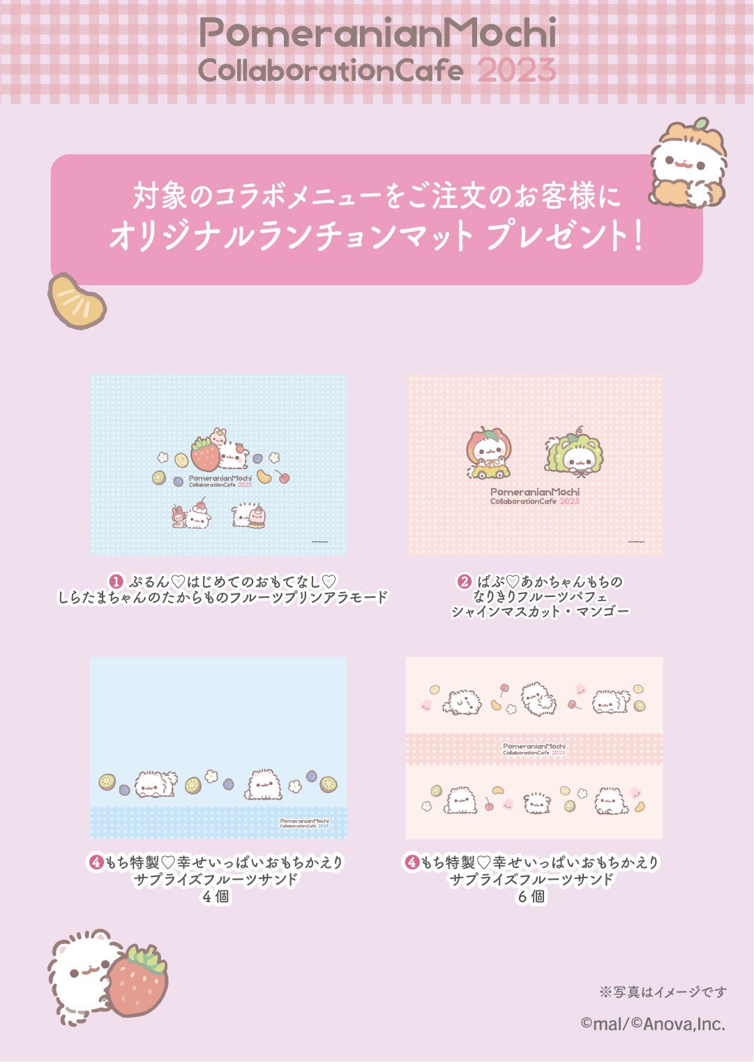 ポメラニアンもち 桃 Tシャツ コラボカフェ 2024 2024銀座個展のおしらせ✨ 10周年記念個展-ふりむきながら-を