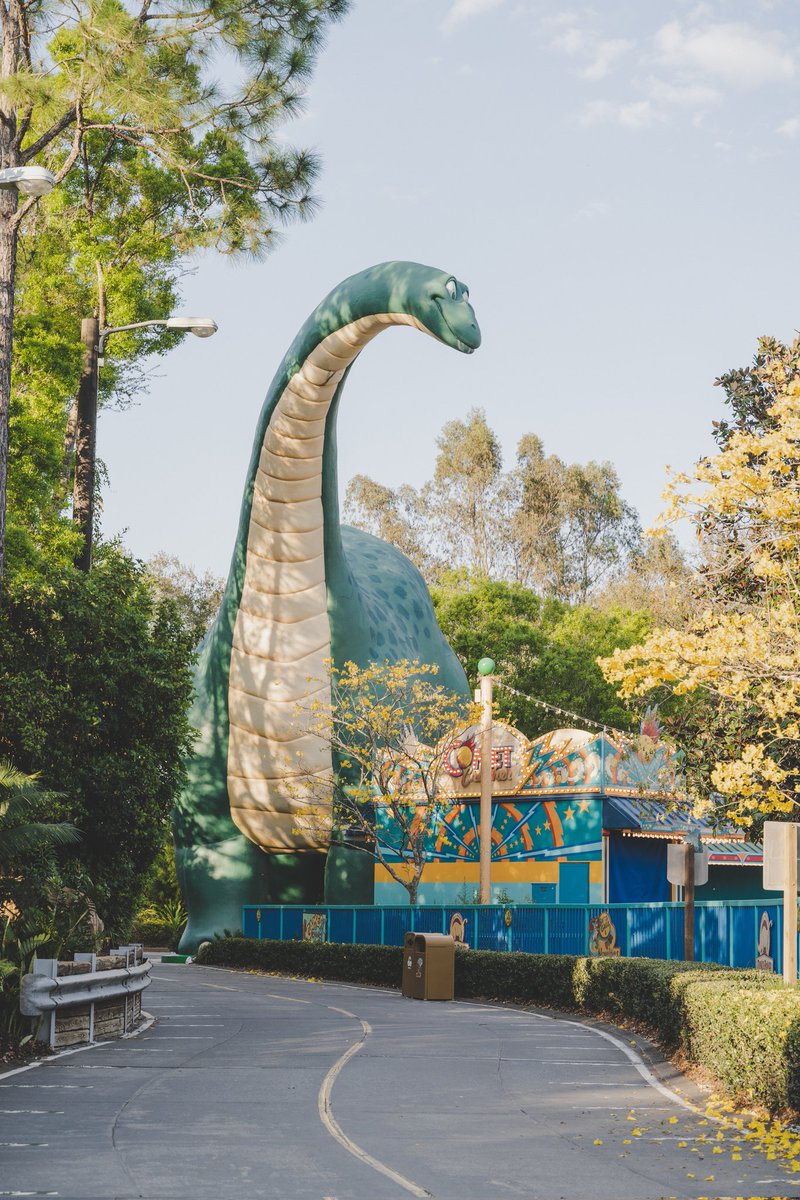 travelbook1ng's tweet photo. 12 pro-tips for experiencing Walt Disney World alone
https://t.co/3Zk5n7r5i4
#DisneySoloAdventure #DisneyWorldTips #WaltDisneyWorldExperience #TravelInspiration #DisneyMagic #SoloTraveler #ThemeParkFun #DisneyVacation #SoloAdventures #DisneyBound #ParkHopping #DisneyFan https://t.co/thTiXkQ0nD