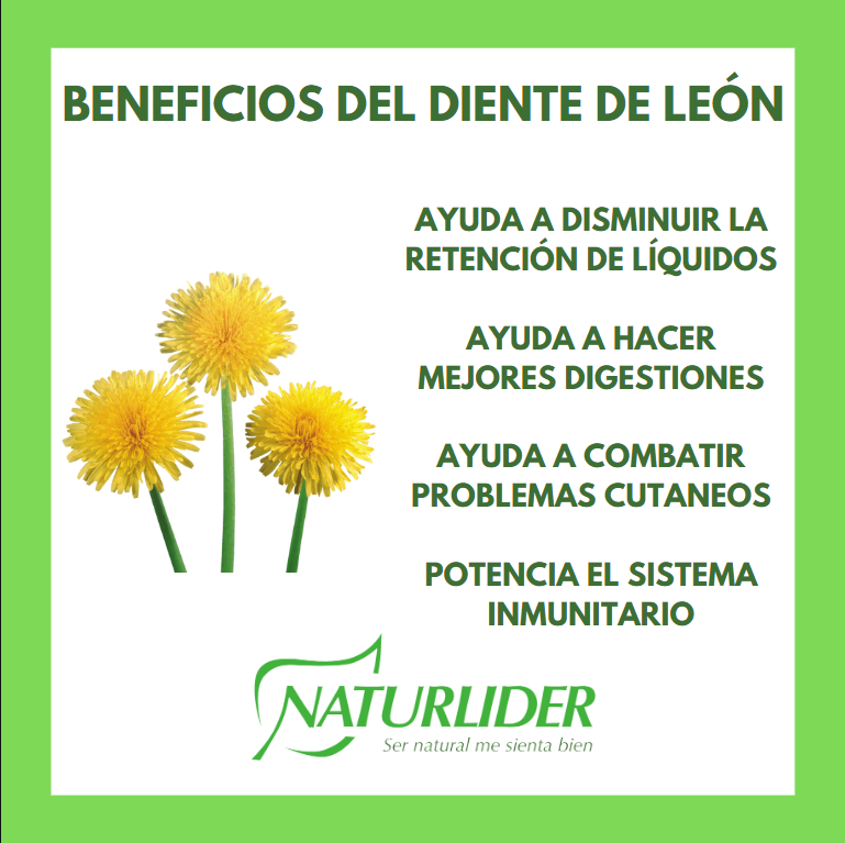 NaturliderCr's tweet photo. Descubre los beneficios de diente de león.
#naturlide #complementoalimenticio #dientedeleon #diuretico https://t.co/36Xu14gh3h