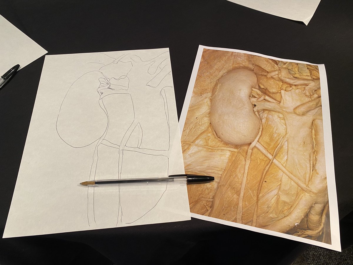 5 minutes Anatomical drawing at Morning starter #BAUS2023 😅 @A_Ghonaimy