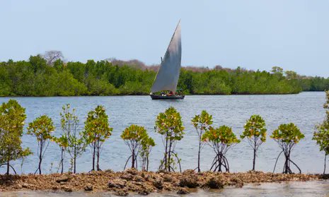 lamu_enviro's tweet photo. ๐ธ Calling all Nature Photographers! ๐ฟ
๐ Exciting news! The Mangrove Photography Awards are now open!๐ณ
Capture the beauty of mangroves through your lens. ๐ท Join the competition, inspire conservation with your stunning shots.๐
Submission Link on our Bio ๐ธ๐ฟ
#CaptureBeauty https://t.co/Fbm7ZJSrRb