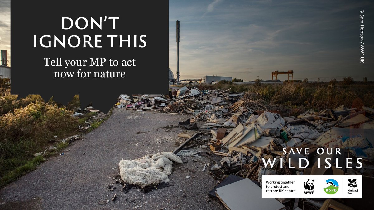 wwf_uk's tweet photo. Our legacy is nature’s destruction – unless our leaders act now ❗

The #NatureCrisis can feel overwhelming. But if everyone works together to help it recover, nature can begin to thrive again.🌱

Tell your MP to stand up for nature &amp; #SaveOurWildIsles 👉 https://t.co/GgVhDYM75s https://t.co/JC3RLHfFAN