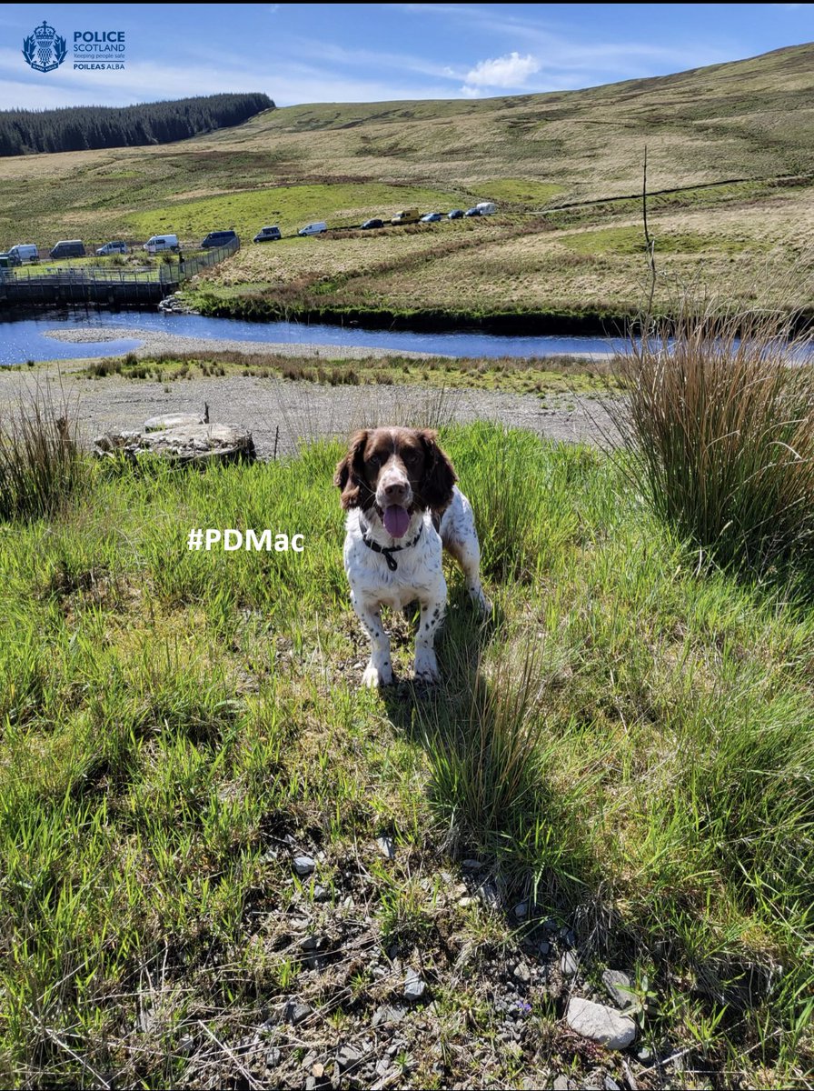 PSOSDogs's tweet image. What a run of shifts for these chaps....apprehending offenders on the run 🏃, preventing knife crime 🔪, finding stolen property 📱 and recovering drugs 💊 - its what they're trained to do and what they do well! 
#PDMac #PDVader #PDEddie
#PoliceDogsOfTwitter