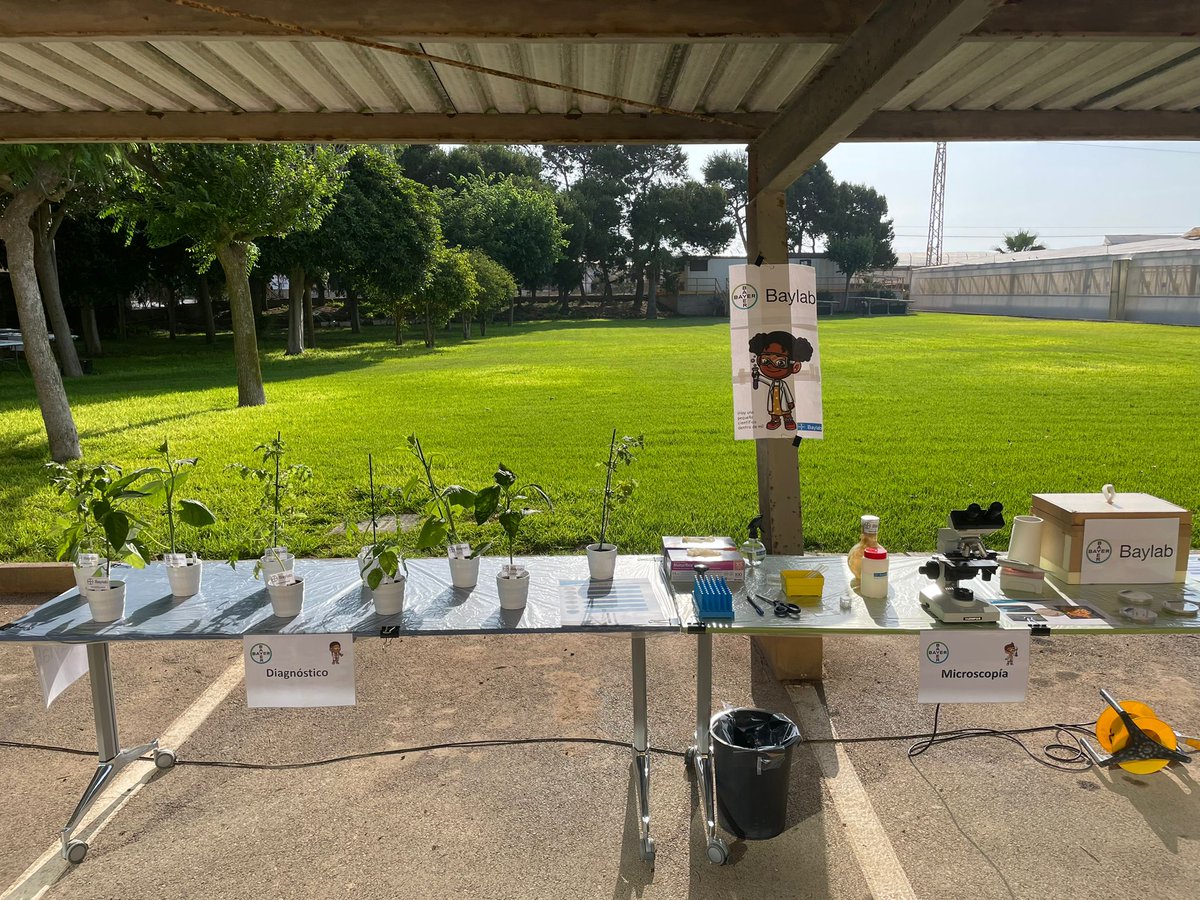 Bayer Crop Science España tweet media