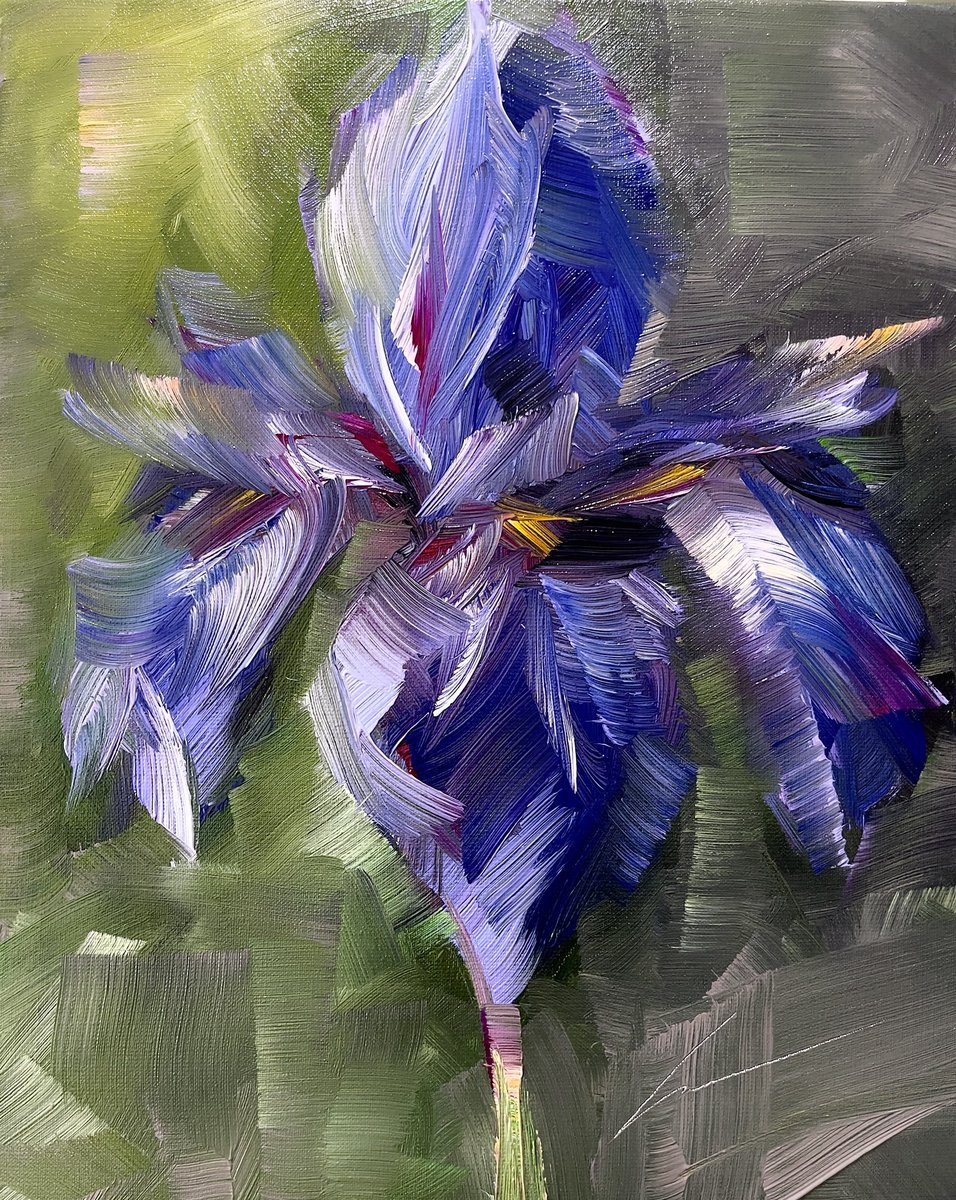 ReemALDOSSARY22's tweet image. 