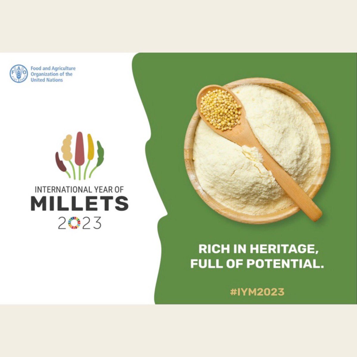 DS_tone's tweet photo. The @FAO declared 2023 as the year to celebrate millets. Pictured are colorful millets from the Gorden Hillman collection @UCLarchaeology &amp; carbonized millets I recovered from 13th-century deposits in Barda, Azerbaijan. 
#Archaeobtany #archaeology #Millets #argriculture
#Food https://t.co/i7itEiLcBj