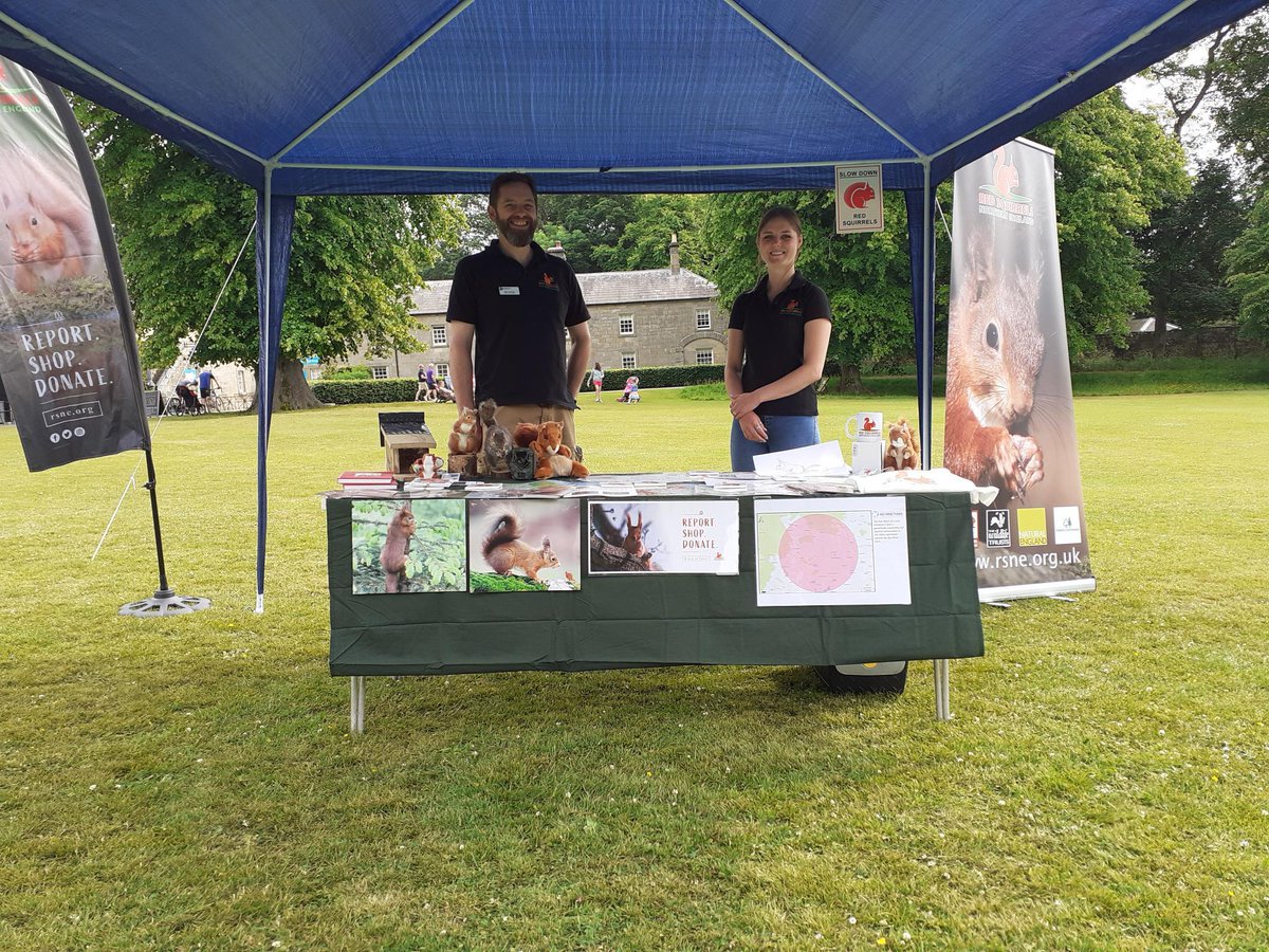 RSNE (@redsquirrelsne) on Twitter photo We had a fantastic time on Saturday taking part in <a href="/WallingtonNt/">NT Wallington</a>'s Great Big Green Week event, talking to visitors about all things red squirrels. #conservation #GreatBigGreenWeek #redsquirrels
For more information on how you can help save our reds: rsne.org We had a fantastic time on Saturday taking part in <a href="/WallingtonNt/">NT Wallington</a>'s Great Big Green Week event, talking to visitors about all things red squirrels. #conservation #GreatBigGreenWeek #redsquirrels
For more information on how you can help save our reds: rsne.org
