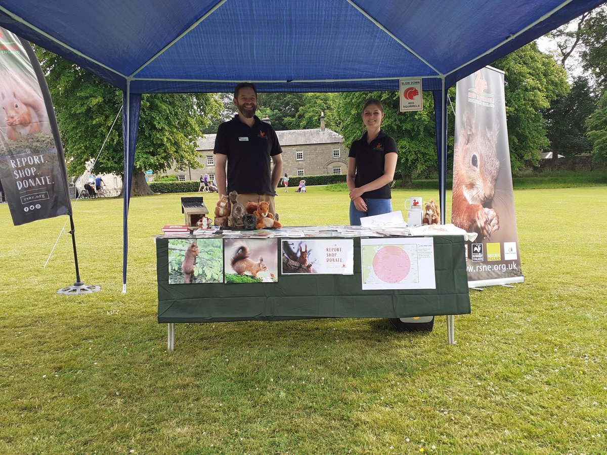 We had a fantastic time on Saturday taking part in @WallingtonNt's Great Big Green Week event, talking to visitors about all things red squirrels. #conservation #GreatBigGreenWeek #redsquirrels For more information on how you can help save our reds: rsne.org