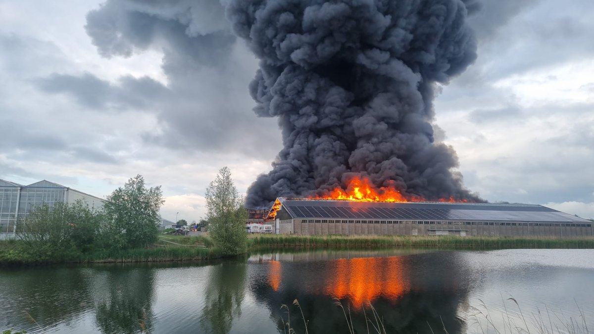 Alweco's tweet photo. 700 kapotte ruiten. Een groot deel van de achtergevel lag eruit. Bij het bedrijf achter de kassen van kweker van Egmond Matricaria (@KeesvE) brak een grote brand uit.

We zijn zes weken verder. Met man en macht is gewerkt aan het herstellen van de kas.

https://t.co/MaAgpGy1CY https://t.co/9AeX8kknVw