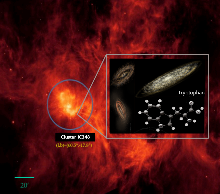 RoyalAstroSoc's tweet photo. Using data from the Spitzer space telescope, Dr Susana Iglesias-Groth, a researcher from @IAC_Astrofisica, has found evidence for the existence of the amino acid tryptophan in star-forming region IC348. The work is published in Monthly Notices of the Royal Astronomical Society. https://t.co/JlzavQX5h1