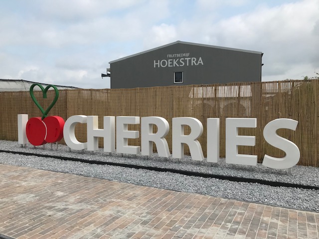 Het aanzicht bij de weg heeft <a href="/HoekstraFruit/">Jan en Joke Hoekstra</a> veranderd. Vind u het ook zo mooi?  Volgens ons uniek voor heel Nederland. Hier worden smaakvolle #kersen 🍒🍒met liefde  en passie geteeld.😀🍒🍒🍒#luttelgeest #kersen