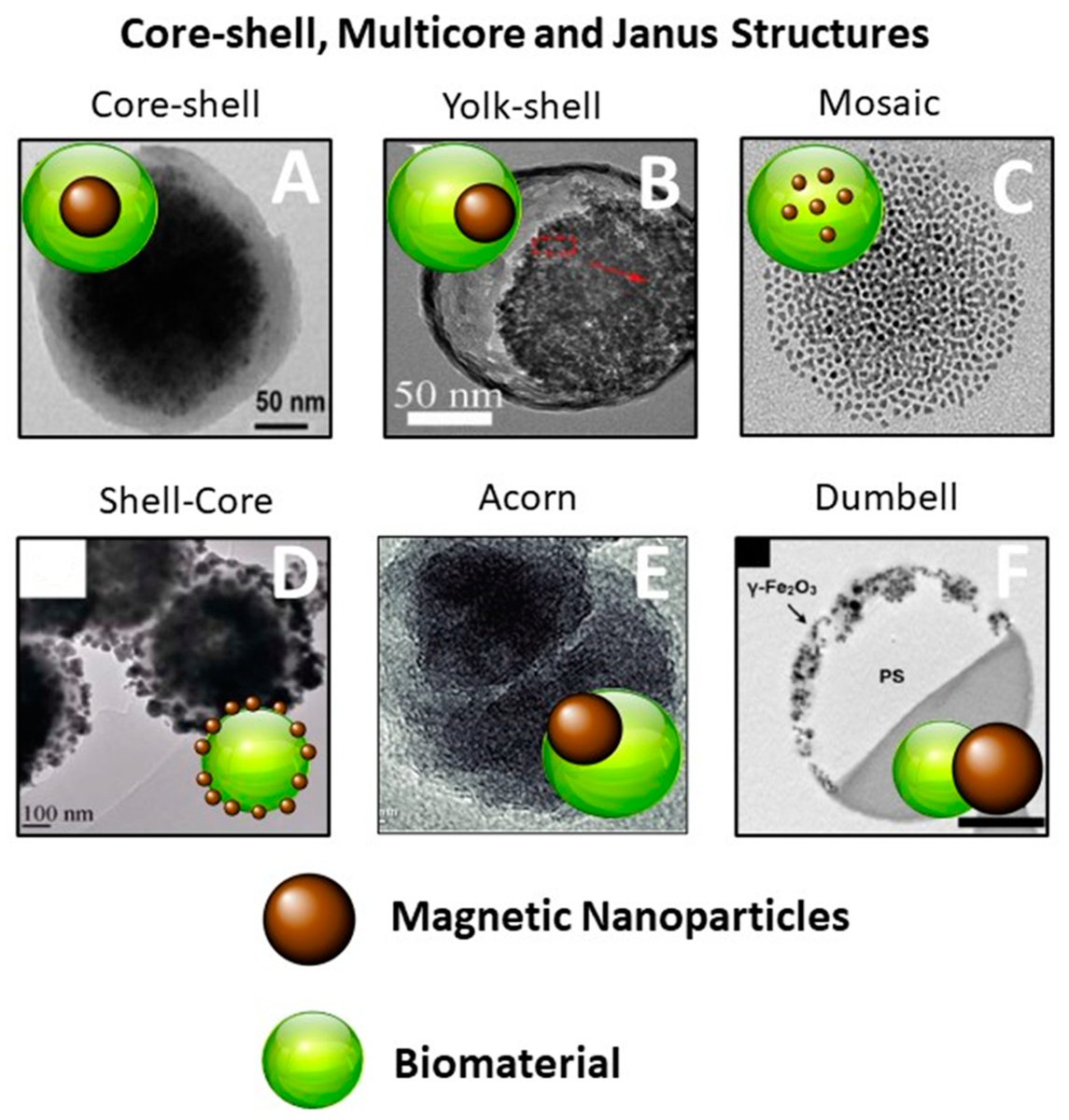 🔔 Highly Cited Paper in 2022

📜 Polydopamine-Coated #Magnetic Iron Oxide #Nanoparticles: From Design to Applications

🔗 Read more: mdpi.com/2079-4991/12/7…