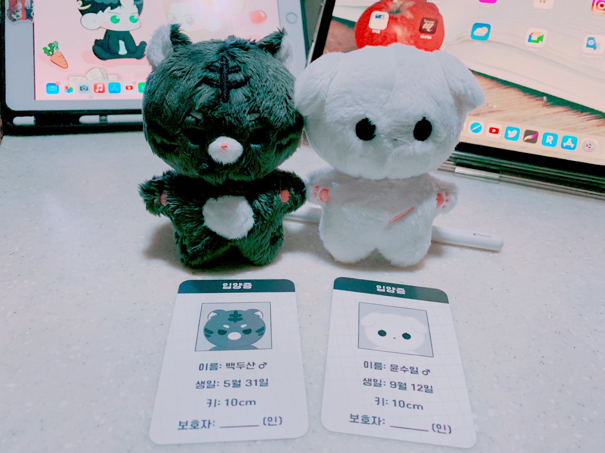 mutsukinokon's tweet photo. 만다행님🥹(@manda0124230) 제가 이 아이들의 보호자가 되다니.. 입양증 생각지도 못했는데 보내주셔서 감사해요.. 잘 키우겠(?) 습니다❤️‍🔥

#두뚜
#나크연동물인형
#두뚜동물인형
#만다공구 https://t.co/sggga2i7Dr