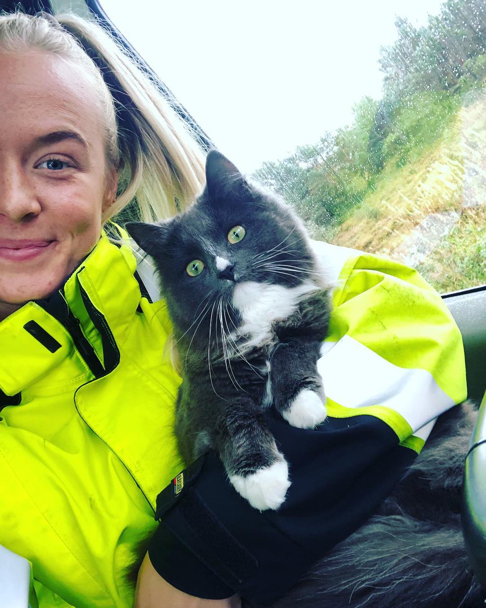 Truckerdogs are quite normal, but have you ever seen a truckercat? 😅 Here you got one 💁🏼‍♀️☝🏼 #trucker #scaniavabis #trucklifestyle #bigriglife #volvo #tuesdayvibe #thicktrunktuesday #MondayMotivation #TongueOutTuesday #MondayMood #TacoTuesday #TuesdayFeeling #thicktrunktuesday