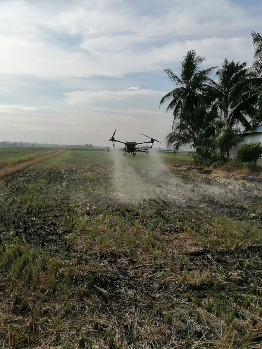 Perlaksanaan kerja kerja di lapangan giat di usahakan sebelum penanaman musim utama 2023 jelapang Selangor.
<a href="/kpkmmalaysia/">KEMENTERIAN PERTANIAN DAN KETERJAMINAN MAKANAN</a>