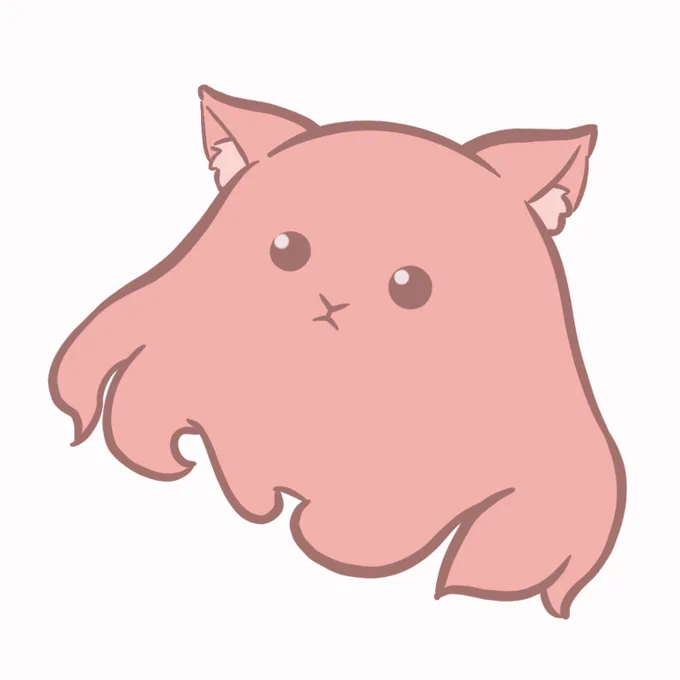 めんにゃこ
