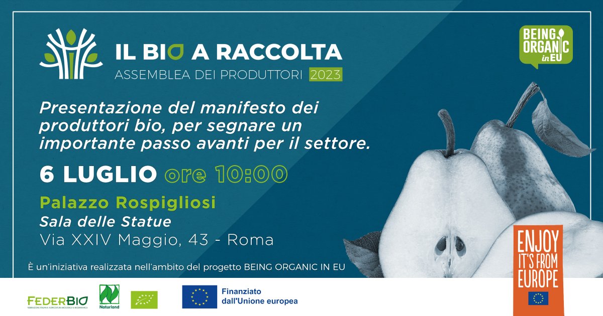 FederBio's tweet image. #ilbioaraccolta 📣
Normativa incerta, un sistema burocratico complesso, instabilità dei prezzi e pocainformazione verso consumatori.
👩🏻‍🌾👨🏼‍🌾 I produttori #bio si riuniranno il 6 luglio per presentare un Manifesto che definisca le necessità di un intero comparto produttivo.