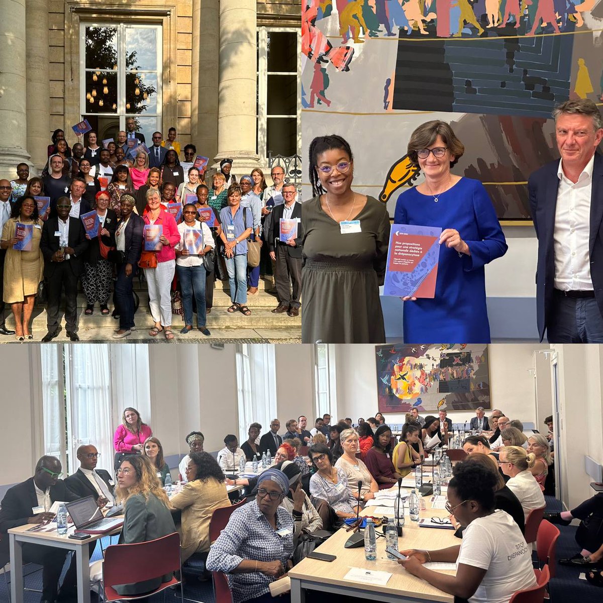 PBertaGard's tweet photo. 🔴Retour en images   

Journée mondiale de lutte contre la #drepanocytose Remise du livre blanc à la ministre @agnesfirmin

Les associations se battent pour une prise en charge non-discriminante &amp; un accès précoce au diagnostic   

Continuons le combat pour les #maladiesrares ! https://t.co/SZRv9IDBbs