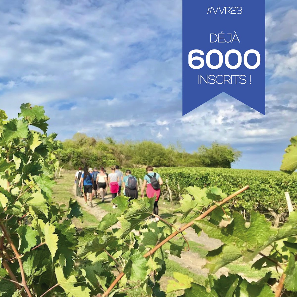vvrvaldeloire's tweet photo. #VVR23 Vous êtes déjà 6000 inscrits à VVR ! 🤩 Ajoutez un petit 🍇 dans les commentaires si vous en faites partie ! 😉
Toujours pas inscrits ? N’attendez plus et rejoignez l’aventure ! 🌿☀️ ✅ https://t.co/V4mJzLBrlO
#vvrvaldeloire #valdeloire #randonnées #vignes https://t.co/iZmKJfWy6g