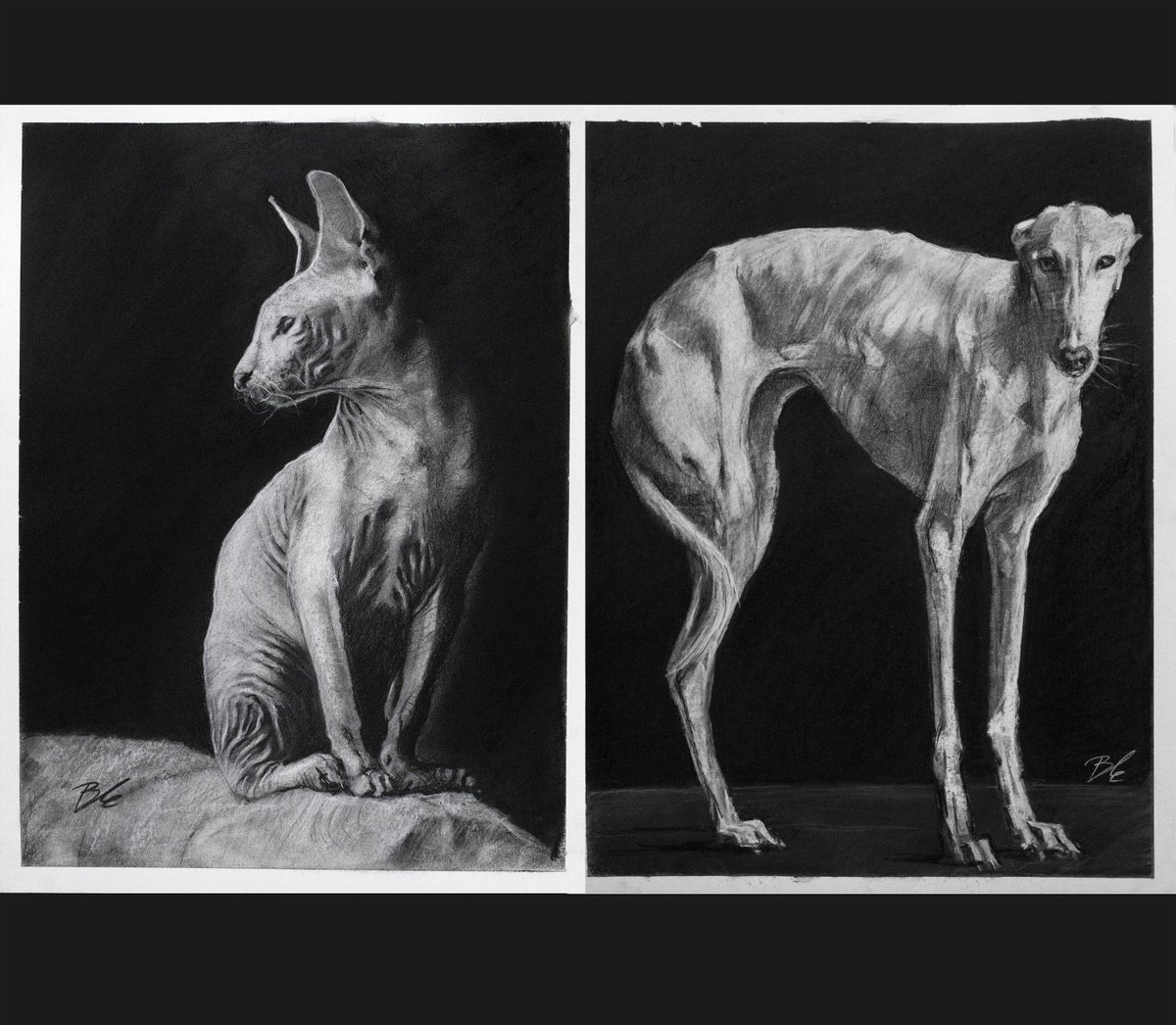 ble_art's tweet photo. A diptych combination
Two of my recent artworks together as a diptych
Similar size, medium and subject for animal lovers
purchase and save 50 euros
Order here https://t.co/hr8g8kINGv https://t.co/ZwRje5SKgC